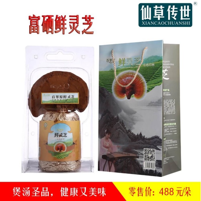 �����r�`֥���o��ȫ�����B(y��ng)���o(h��)����